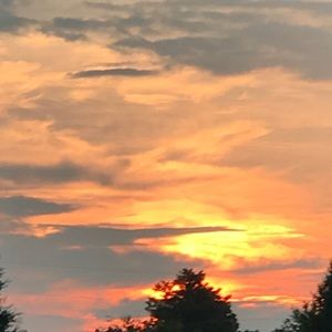 Meet your Posher, Jose